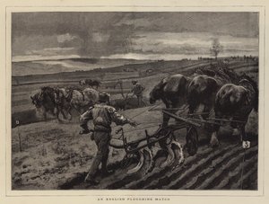 An English Ploughing Match